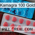 Kamagra 100 Gold new14